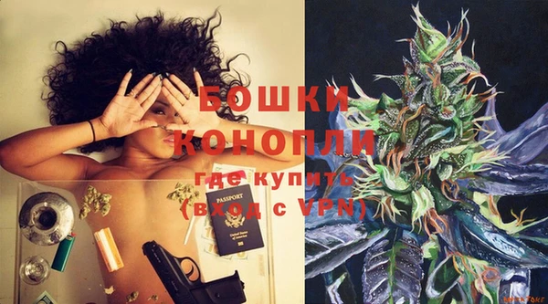 МДПВ Заводоуковск