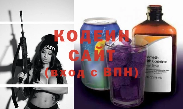 сатива Дмитриев