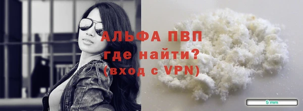 сатива Дмитриев