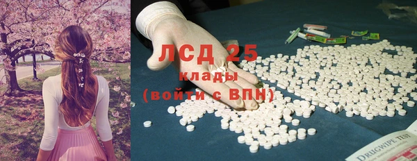 сатива Дмитриев