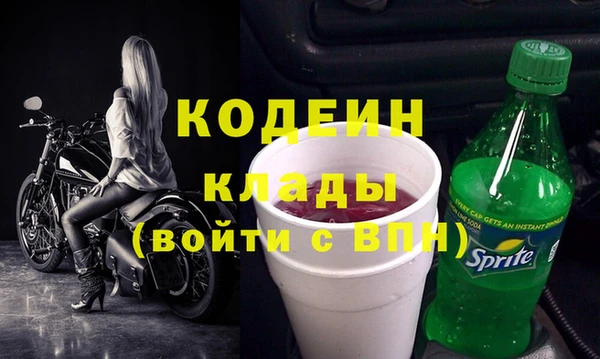 сатива Дмитриев