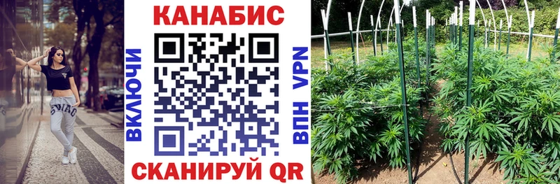 Купить  Светлоград  Конопля ГИДРОПОН 